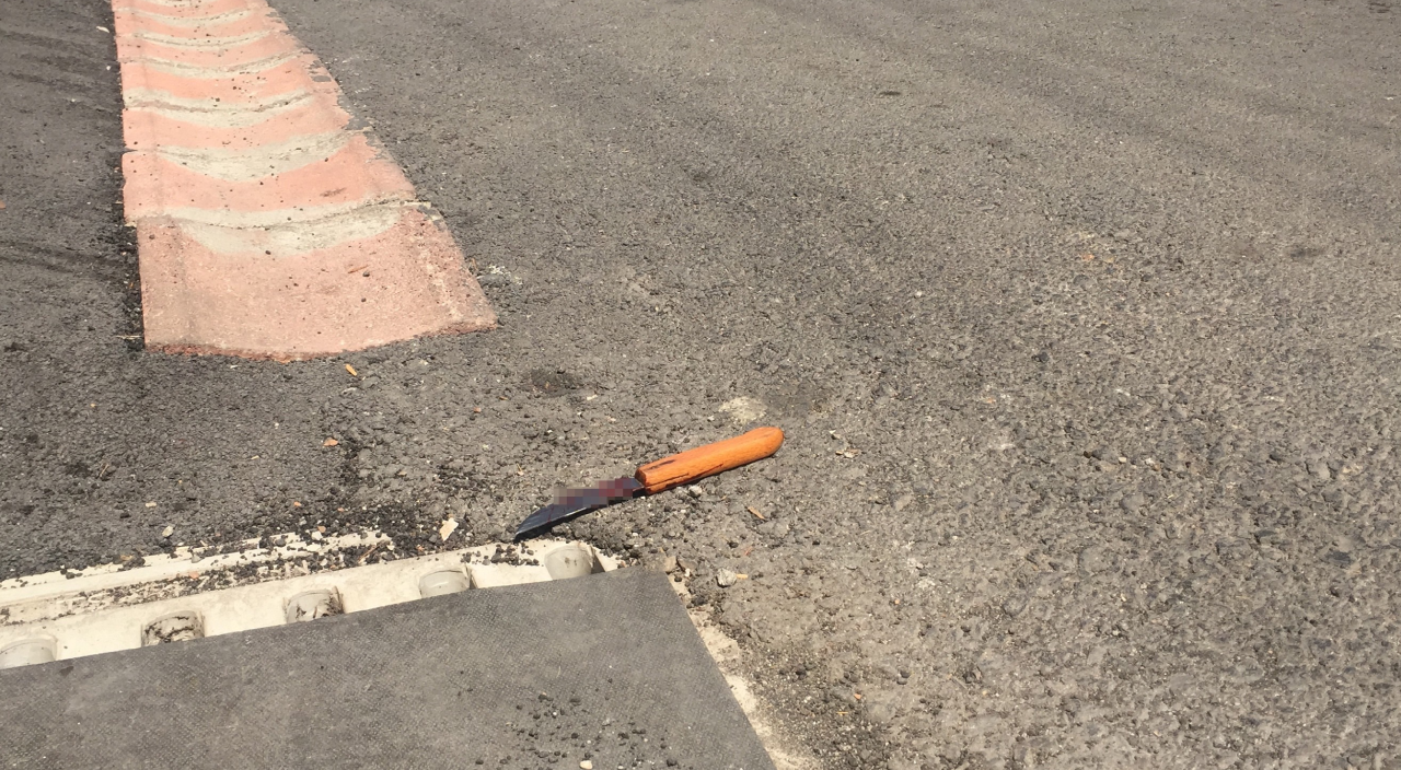 Adana'da sokak ortasında bıçaklı kavga!